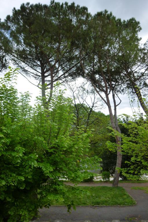 Albergo I Villini Pontassieve Exterior photo
